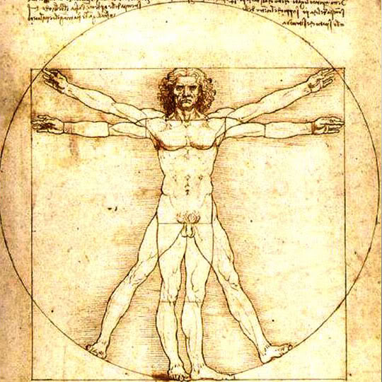 vitruvian-man-leonardo-da-vinci