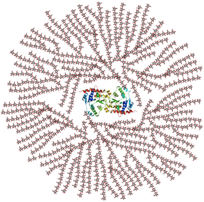 777px-glycogen_structure-svg